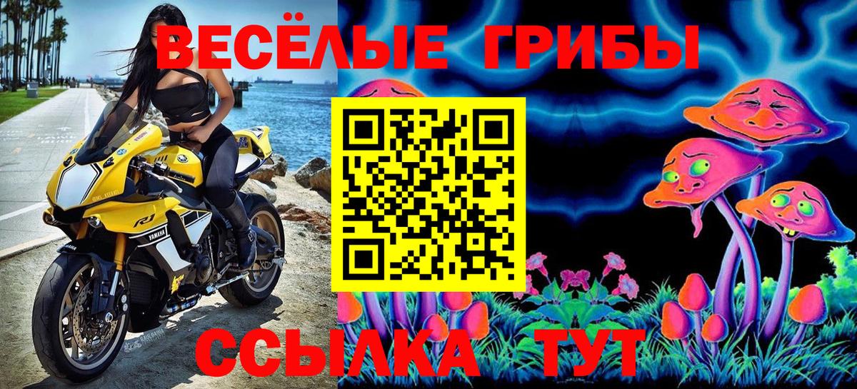 Ржев  где купить наркоту  Вход с VPN  Галлюциногенные грибы GOLDEN TEACHER 
