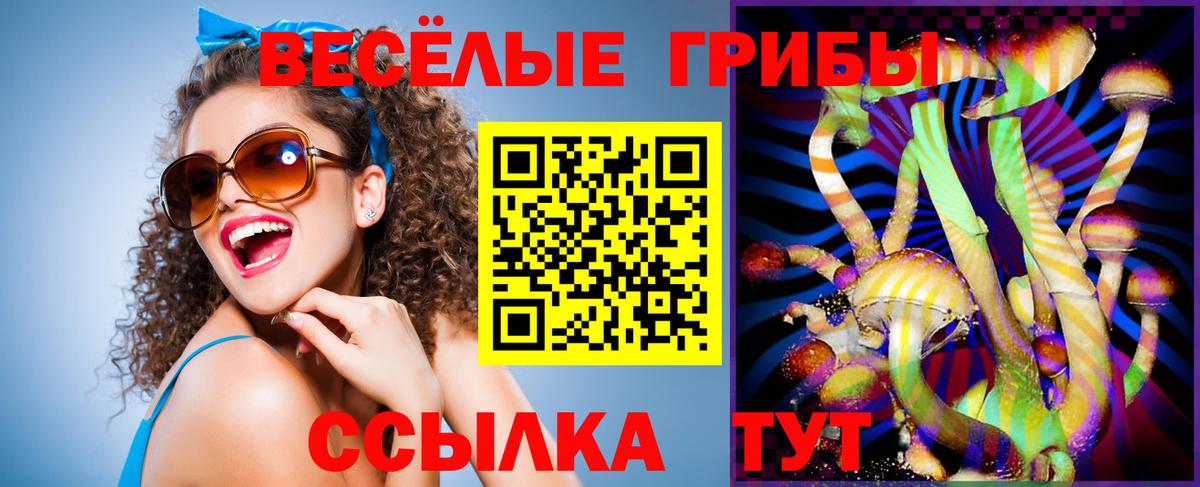 ГАШИШ Ржев